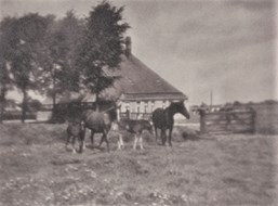 boerderij Tolkerbosch  omstreeks 1930 (2)