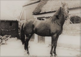 boerderij Tolkerbosch  omstreeks 1930, achterzijde (7)