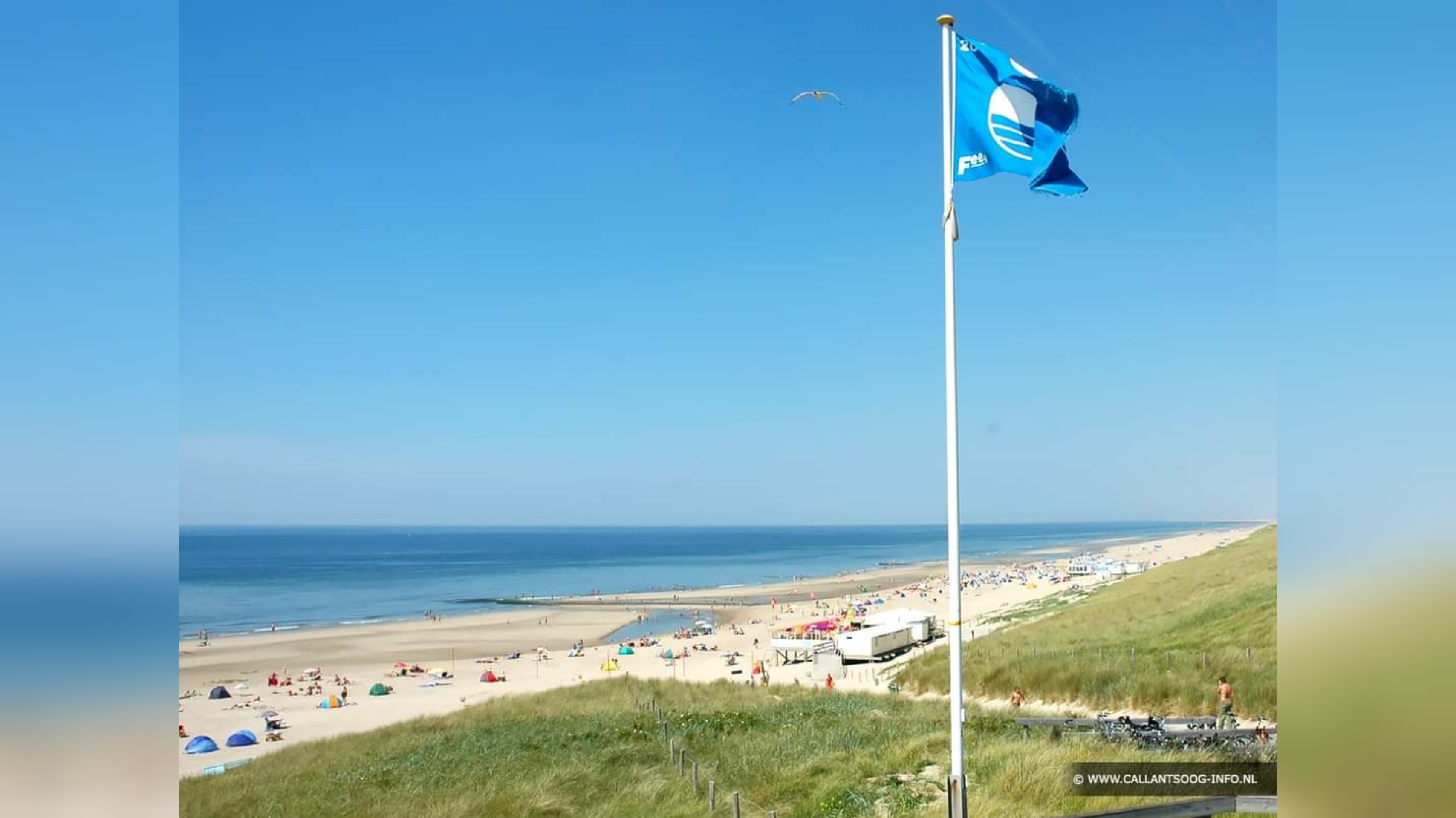 Vier blauwe vlaggen voor de stranden van de gemeente Schagen