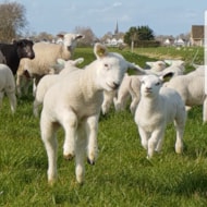 IMG_20190331_173644_690